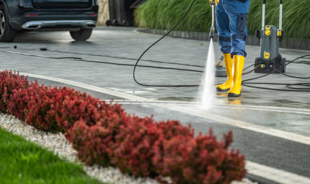 Best Driveway Pressure Washing  in St Francisville, LA